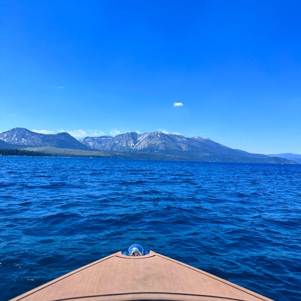 Meet your Posher, Bella